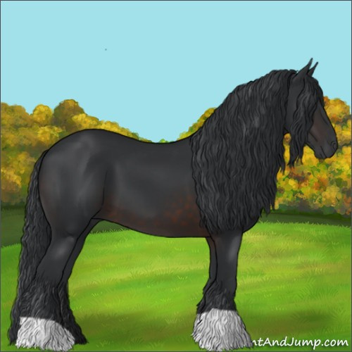 Horse Color:Brown 