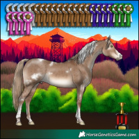 Horse Color:White Spotted Liver Red Dun Tobiano Frame Rabicano Brindle 
