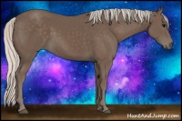 Horse Color:Silver Black 