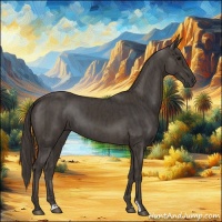 Horse Color:Smoky Black and Smoky Black