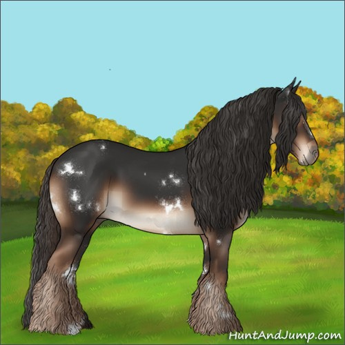 Horse Color:White Spotted Liver Chestnut