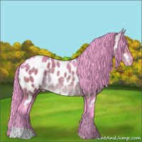 Horse Color:Watercolor Brown Appaloosa 