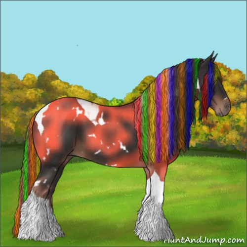 Horse Color:Painted White Spotted Liver Chestnut Tobiano 