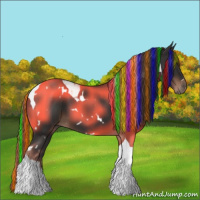 Horse Color:Painted White Spotted Liver Chestnut Tobiano 