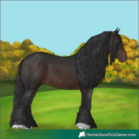 Horse Color:Brown 