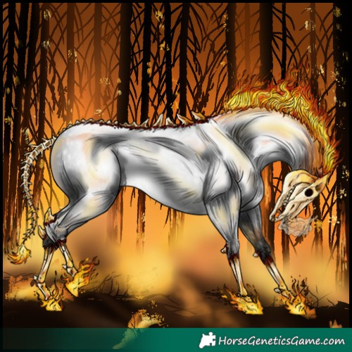 Horse Color:Gray White Spotted Liver Chestnut 