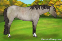 Horse Color:Smoky Grullo Roan Sabino Rabicano