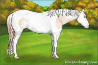 Horse Color:Brown Pearl Dun Sabino Splash Tobiano Rabicano