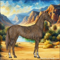 Horse Color:Smoky Black  and Chocolate Palomino 