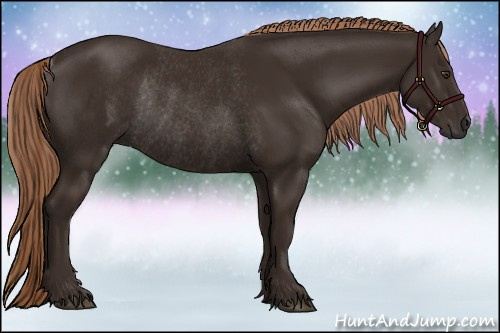 Horse Color:Liver Chestnut Rabicano 