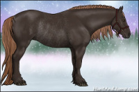 Horse Color:Liver Chestnut Rabicano 