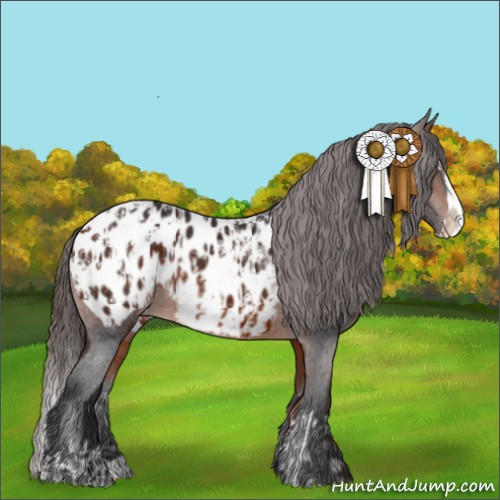 Horse Color:Bay Sabino Splash Appaloosa  and Bay Sabino Splash Appaloosa 