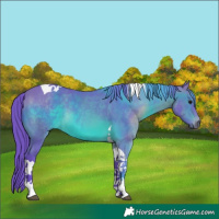 Horse Color:Watercolor Brown Tobiano 