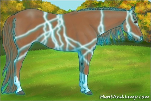 Horse Color:Thunderstruck Chestnut Tobiano 
