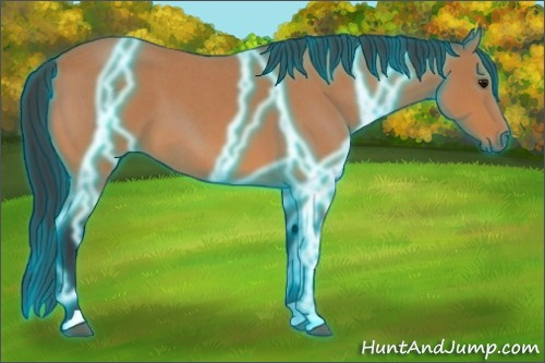 Horse Color:Thunderstruck Bay Roan 