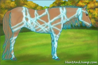 Horse Color:Thunderstruck Chestnut 