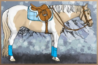 Horse Color:Red Dun Mushroom Tobiano 