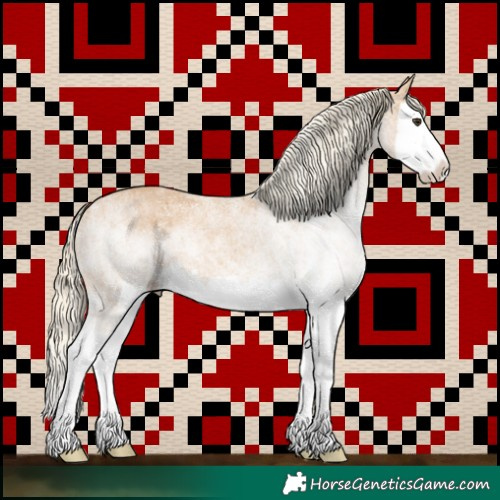Horse Color:White Spotted Chestnut Mushroom Splash 