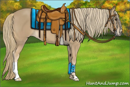 Horse Color:Chestnut Mushroom 