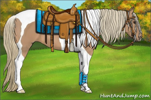 Horse Color:Chestnut Mushroom Tobiano 