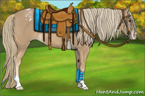 Horse Color:Chestnut Mushroom Appaloosa 