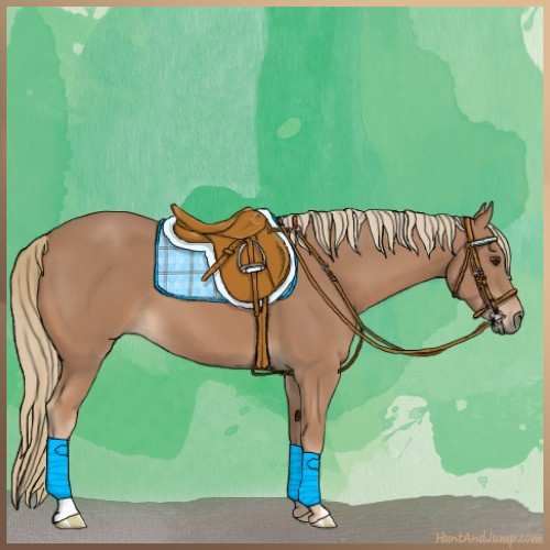 Horse Color:Chestnut Mushroom 