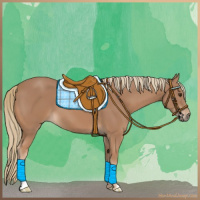 Horse Color:Chestnut Mushroom 
