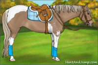 Horse Color:Chestnut Mushroom Tobiano