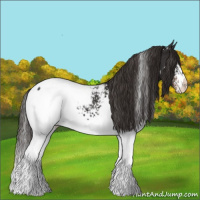Horse Color:White Spotted Liver Chestnut Snowcap 