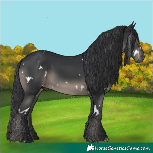 Horse Color:White Spotted Black 