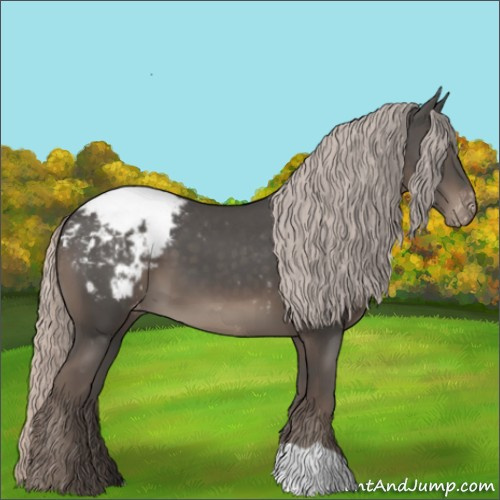 Horse Color:Silver Black Snowcap 