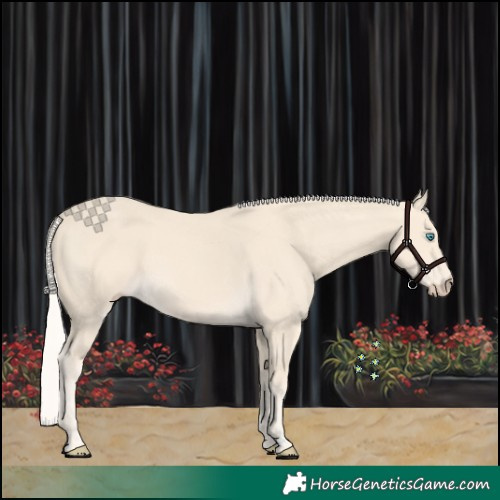 Horse Color:Cremello 