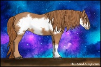 Horse Color:Chestnut Frame 