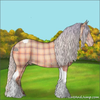 Horse Color:Plaid  Silver Sable Champagne Tobiano 