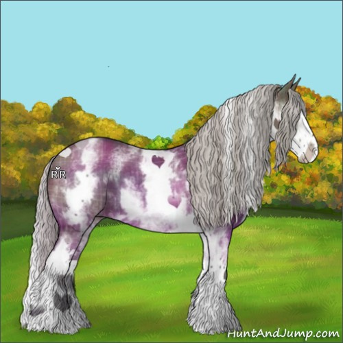Horse Color:Plaid White Spotted Silver Grullo Splash