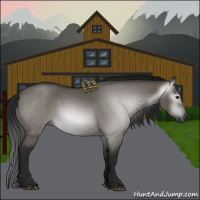 Horse Color:Gray Grullo 