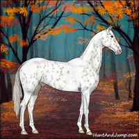 Horse Color:Silver Grullo Tobiano Appaloosa 