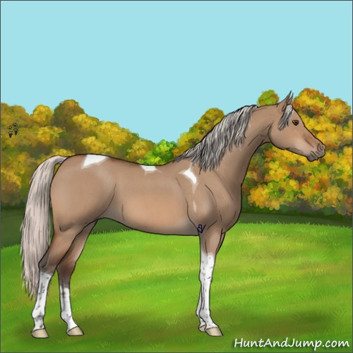 Horse Color:Silver Brown Roan Dun Tobiano 