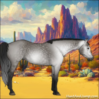 Horse Color:Gray Grullo 