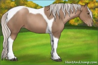 Horse Color:Silver Black Pearl Tobiano 