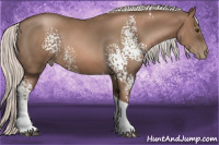 Horse Color:White Spotted Silver Black Pearl Tobiano 