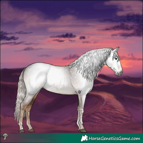 Horse Color:Gray Liver Chestnut Mushroom Tobiano