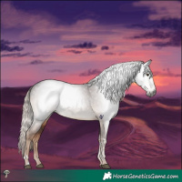 Horse Color:Gray Liver Chestnut Mushroom Tobiano 