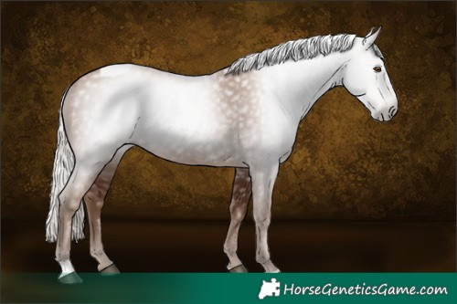 Horse Color:Gray Silver Black Pearl Tobiano 