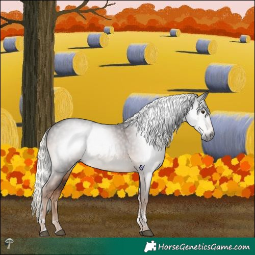 Horse Color:Gray Liver Chestnut Mushroom Tobiano 