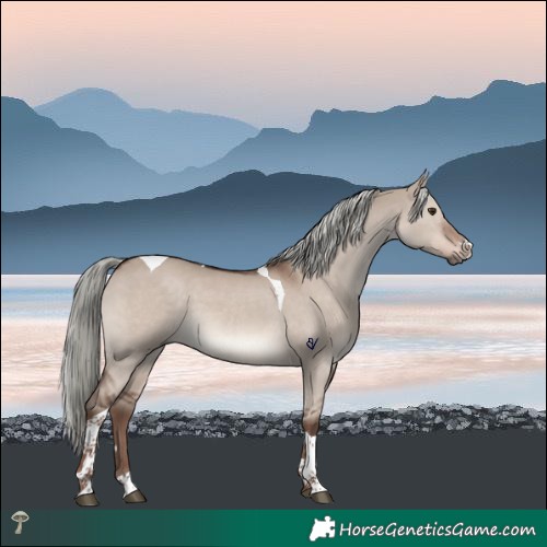 Horse Color:Liver Red Dun Mushroom Tobiano 