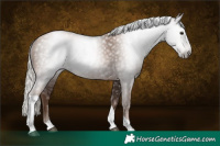 Horse Color:Gray Silver Black Pearl Tobiano 