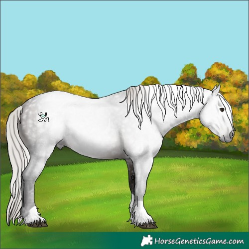 Horse Color:Gray Silver Brown Sabino Tobiano 