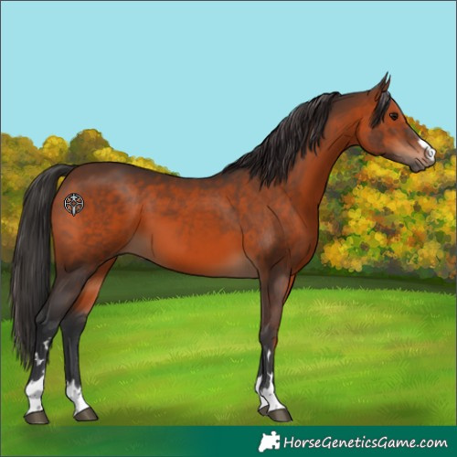 Horse Color:Brown 