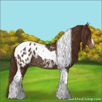 Horse Color:Liver Chestnut Tobiano Blanket Rabicano 